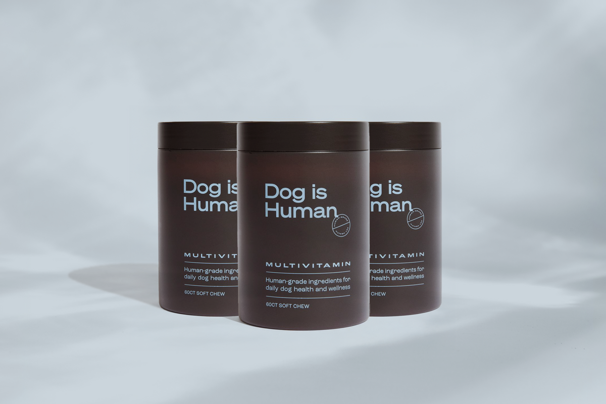 DW-01™ Daily Wellness 3-Pack – Beef