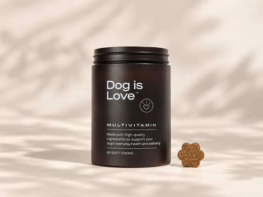 DW-01™ Daily Wellness Multivitamin