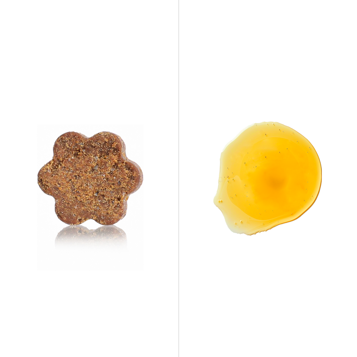 DW-01™ Daily Wellness Duo – Beef